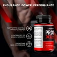 thumbnail image 4 of (2 Pack) Proman XL Pills – Official PromanXL ME All-Natural Pills for Physical Health & Overall Well-Being, Premium Pastillas for Energy, Vitality & Wellness Support, Proman X L (120 Capsules), 4 of 6