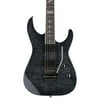 ESP LTD M1001 Electric Guitar Level 2 See-Thru Black 190839107589