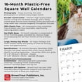 thumbnail image 6 of Maine Coon Cats | 2026 12x24" (Hanging) Wall Calendar | Plastic-Free | BrownTrout, 6 of 9