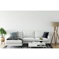 thumbnail image 4 of 26" x 26" Simply Daisy Feathers Polyester Accent Pillow, Unreal Teal Qty 1, 4 of 6