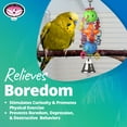 thumbnail image 3 of Super Bird Creations SB1083 Binky Bop Bird Toy - Engaging Enrichment Toy for Parrotlets, Parakeets, Cockatiels Toys, Small Plastic Bird Toys with Charms, Ideal for Medium Bird Size, 7.5" x 1.5", 3 of 8