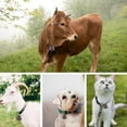 thumbnail image 5 of 10PCS Cow Horse Sheep Grazing Copper Bells, Cattle Farm Animal Copper Loud Bronze Bell Small Brass Bells, 5 of 7