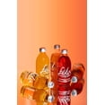 thumbnail image 4 of F&eacute;lix Schorle &ndash; Soda 100% natural en botella de vidrio 355 ml &ndash; Pack 12 con jugo de fruta natural y agua mineral gasificada &ndash; Sin az&uacute;cares a&nti, 4 of 9