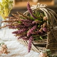 thumbnail image 4 of Buddleja Butterfly Bush Bundle 18" Tall, 4 of 12