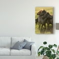 thumbnail image 3 of Trademark Fine Art 'Play Time Horses' Canvas Art by Danny Head, 3 of 4