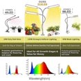 thumbnail image 3 of LED Plant Light, Full Spectrum Corn Fill Light, Horizontal Succulent Plant Growth Socket Lamp + Adapter, 3 of 5