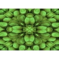 thumbnail image 1 of Ahgly Company Machine Washable Indoor Rectangle Transitional Green Area Rugs, 3' x 5', 1 of 7