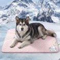 thumbnail image 3 of Deago Summer Dog Cooling Mat, Washable Ice Silk Self Cool Pad for Small Medium Large Dogs and Cats, Pet Sleeping Pad for Crate, Bed, Indoor & Outdoor Floor, Car Seats, 3 of 9