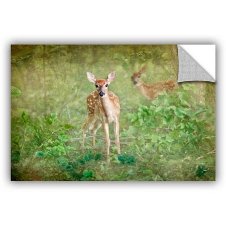 ArtWall Antonio Raggio ' Leering Doe ' Art Appealz Removable Wall Art