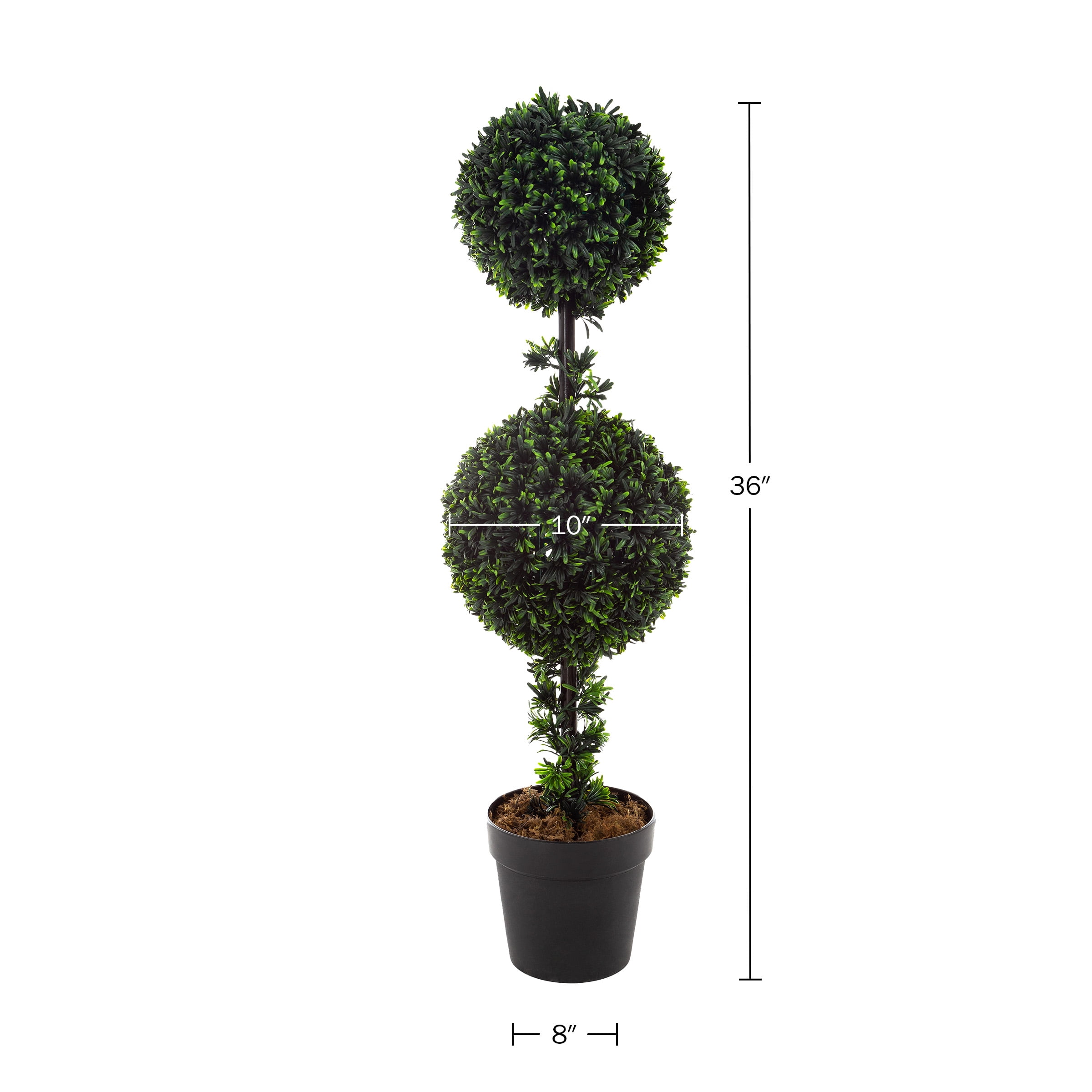 Pure Garden Set of Two 36-Inch Double Ball Podocarpus Topiary Trees