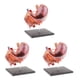 thumbnail image 4 of Vogacara 2:3 Human Human Stomach Pancreas with Model Study Internal Organs Anatomy Type1 NO1, 4 of 6