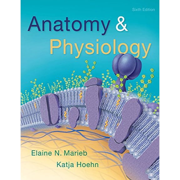 Anatomy & Physiology (Hardcover) by Elaine N. Marieb, Katja N. Hoehn