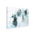 thumbnail image 2 of Jennifer Paxton Parker 'Foggy Evergreens I' Canvas Art, 2 of 3