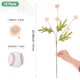 thumbnail image 3 of Uxcell 12 Paquete de Flores de Bola de Crisantemo Artificial 20.08 pulgadas 5 cabezas Ramo de Crisantemo de Seda Rosa Claro, 3 of 6