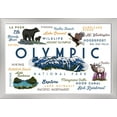 thumbnail image 1 of Olympic National Park, Washington - Typography & Icons - Lantern Press Artwork (24x16 Giclee Art Print, Gallery Framed, Silver Wood), 1 of 1