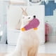 thumbnail image 1 of RKSTN Cotton Toy Duck Pet Toy Duck Red, 1 of 7