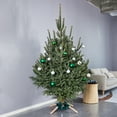 thumbnail image 2 of Northlight Green Metal and Wood Live Christmas Tree Stand - For Trees up to 7ft Tall, 2 of 3
