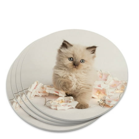 

Miradoll Ragdoll Cat Kitten Flowers Novelty Coaster Set