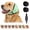 Green, variant on Dog Ear Muffs, Silent Wuff for Dogs, Noise Reducing Calming Ear Wrap, Firework Thunder Vacuum Protection, All Breed Pet Accessories