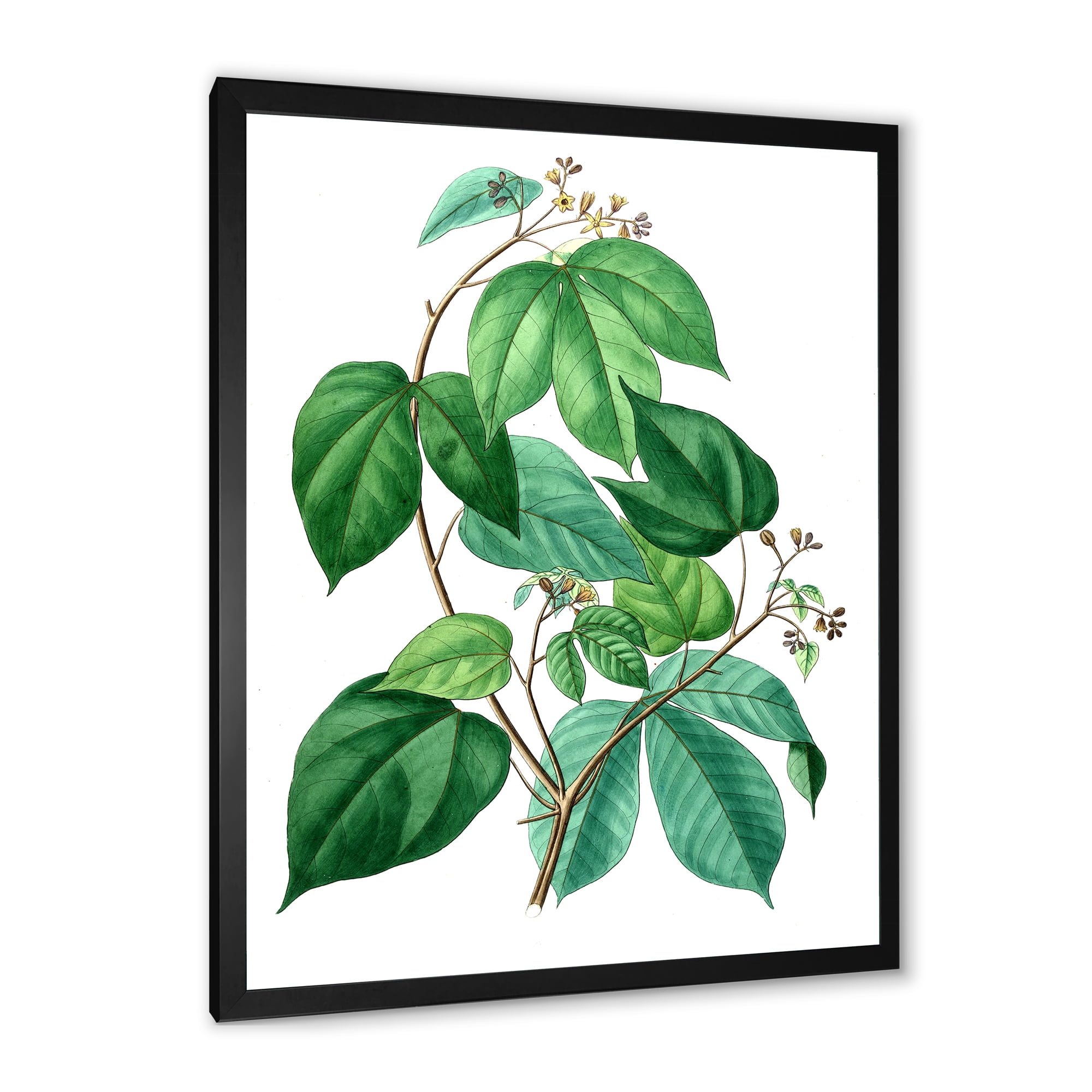 Designart 'Ancient Green Leaves Plants III' Traditional Framed Art Print