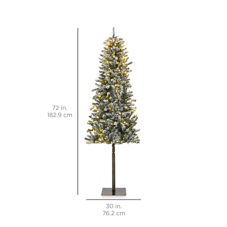 The 7 Best Christmas Tree Stands of 2022, According to Reviews