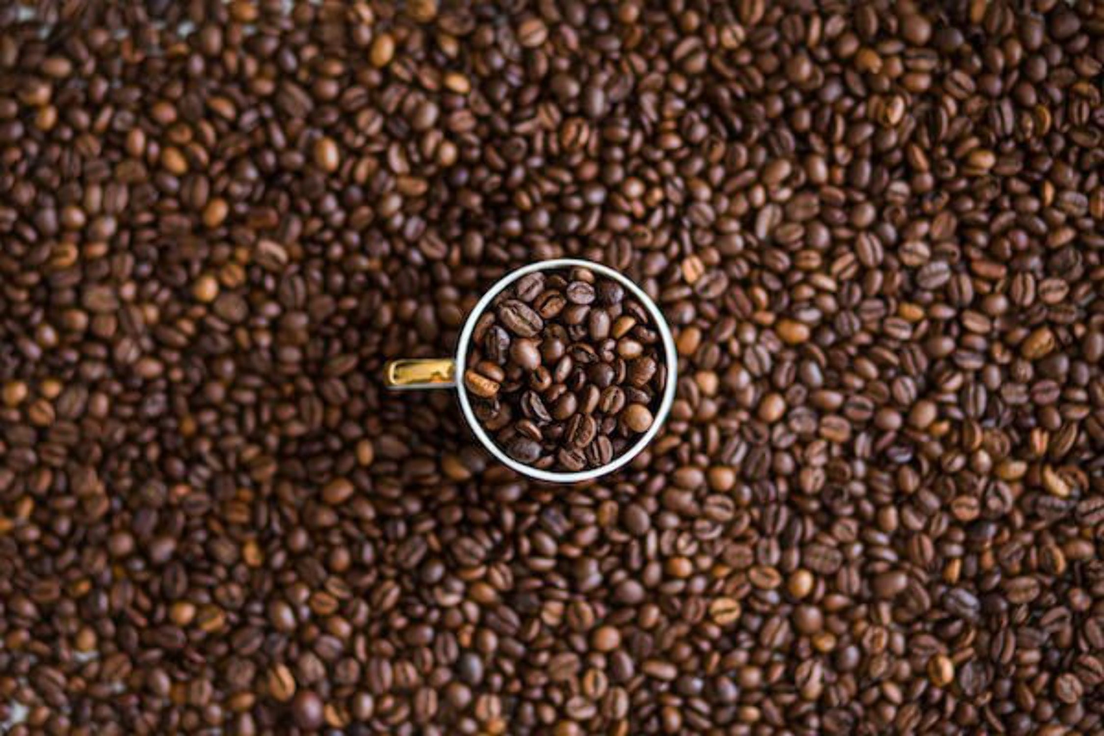 Bella Beans™ Organic Smart Coffee - Luxurious Brazilian Blend - 16oz Whole Bean Coffee