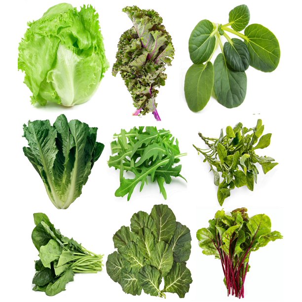 Greens Seed Collection, 2500+ Seeds, 9 Heirloom Varieties, Arugula