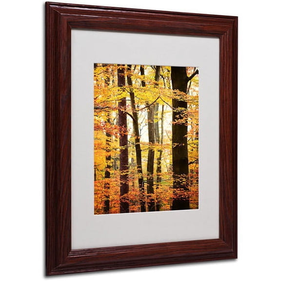 Trademark Fine Art "Between Us" Canvas Art by Philippe Sainte-Laudy, Wood Frame