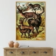 thumbnail image 2 of Designart 'Old-world Mammals I' Farmhouse Framed Canvas Wall Art Print, 2 of 5