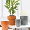 thumbnail image 4 of Flower Pot Anti-deform Multipurpose Great 2 Layers Self-watering Plant Flower Pot Desktop Decor, 4 of 4