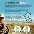 thumbnail image 6 of NaturaleBio Organic Maca Powder 8OZ Peruvian, Natural and Pure, Vegetarian and Vegan Friendly, 6 of 9