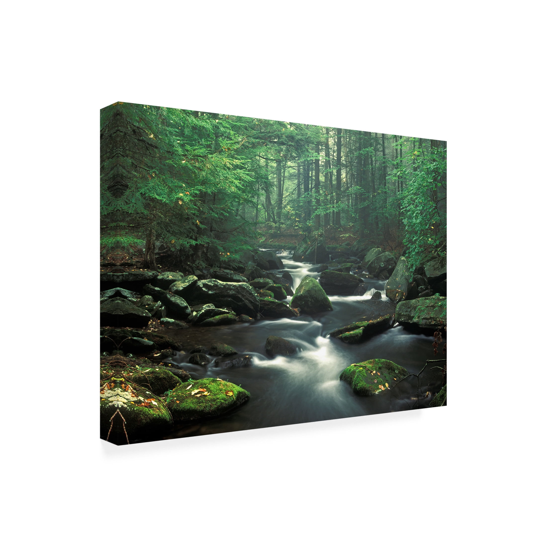 Canvas Wall Art - Patrick Zephyr 'Sawmill River' Wall Art for Living Room, Bedroom, or Office Décor by Trademark Fine Art - 19 x 14 Inches