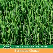Scotts Turf Builder Grass Seed Bermudagrass, 5 lb., Drought Tolerant