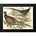 thumbnail image 2 of Vision Studio 18x15 Black Modern Framed Museum Art Print Titled - Pheasant Varieties V, 2 of 5