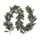 thumbnail image 2 of Christmas Pines Needle Wreath With Green Artificial Christmas Wreath Winter Fireplace Tabletop Porch Decor Holiday Wreath Green Cedar Christmas Wreath, 2 of 9