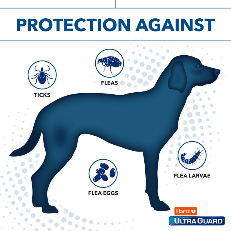 Pro collar store for dogs