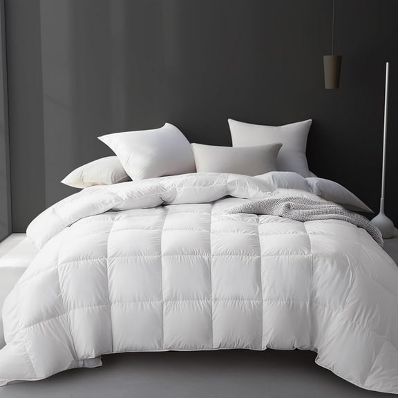 Hotel Grand White Goose Feather Down Fiber Comforter Twin Size, All Season Warmth