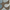 Mocha, variant on Nourison Contour Botanical Mocha 7'3" x 9'3" Area Rug, (7x9)