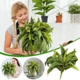 thumbnail image 1 of Planta de helecho persa artificial - seda y plástico sintético para decoración del hogar - Plantas artificiales interiores y exteriores - 1 paquete de hojas sintéticas verdes, 1 of 9