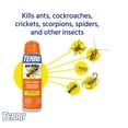 thumbnail image 2 of Terro Ant Killer Aerosol Spray T401 - Child-Resistant Insecticide - 16 Ounce, 2 of 3