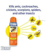 Terro Ant Killer Aerosol Spray T401 - Child-Resistant Insecticide - 16 Ounce