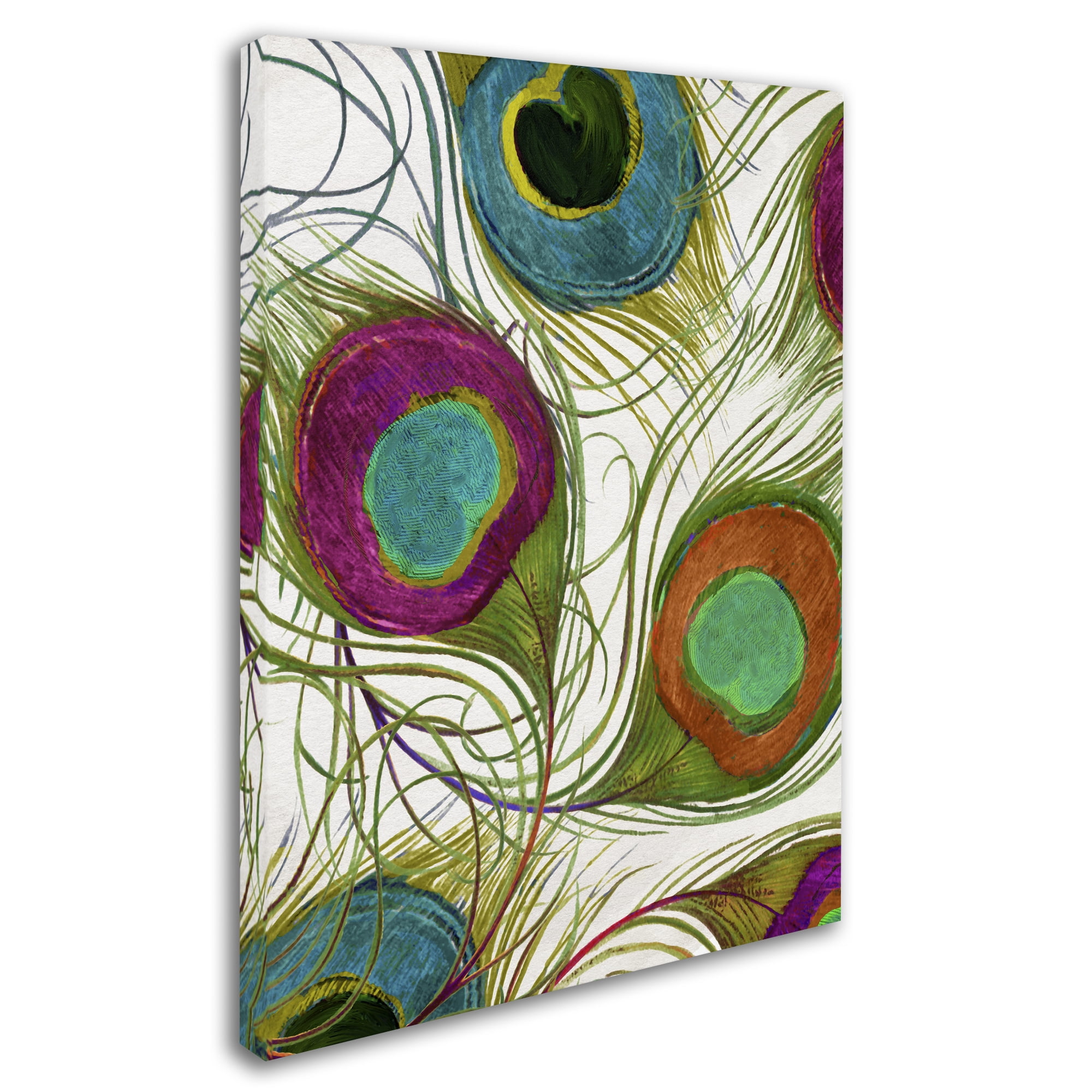Trademark Fine Art "Peacock Feathers II" Canvas Art by Color Bakery