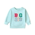 thumbnail image 2 of YWDJ Boys Girls Long Sleeve Sports Sweatshirt Casual Clothing Kids Big Sister Little Sister Sports Casual Sweatshirt 6 Months - 4 Years Old Green 3Y, 2 of 7