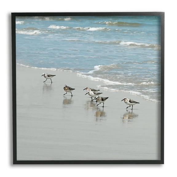 Stupell Industries Sandpipers on Shore Reflection Coastal Painting Black Framed Art Print Wall Art
