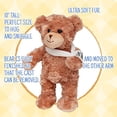thumbnail image 1 of Oso de Peluche Jolitee con Brazo Roto Regalos para Niños 10.5 pulgadas, 1 of 2