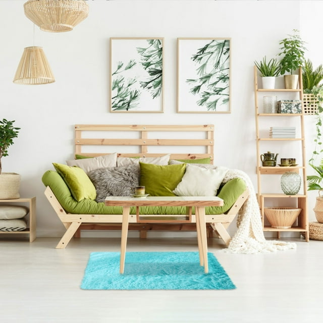 Plush Throw Rugs,Shag Area Rug for Living Room,Soft Fluffy Small Shaggy Rug for Bedroom Dorm Kids Room Indoor Home Decorative, Non-Slip Plush Furry Fur Area Rugs Comfy Nursery Accent Floor Carpet
