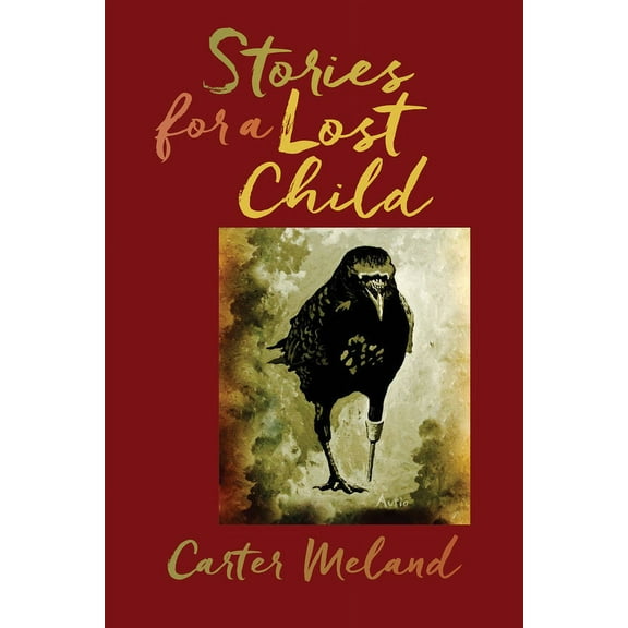 American Indian Studies: Stories for a Lost Child (Paperback)