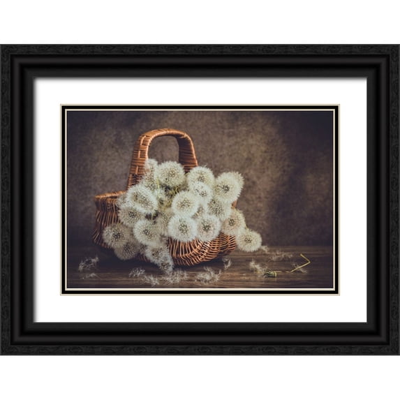 Miziolek, Anna 14x11 Black Ornate Wood Framed with Double Matting Museum Art Print Titled - Dandelions