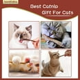 thumbnail image 4 of Mordedores con infusión de hierba gatera para gatitos y gatos de interior - Juguetes interactivos con varita para felinos aburridos Palitos masticables para gatos Silvervine, 4 of 6