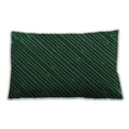 thumbnail image 1 of Ahgly Company Indoor Rectangular Contemporary Lumbar Throw Pillow, 13 inch by 19 inch, 1 of 5